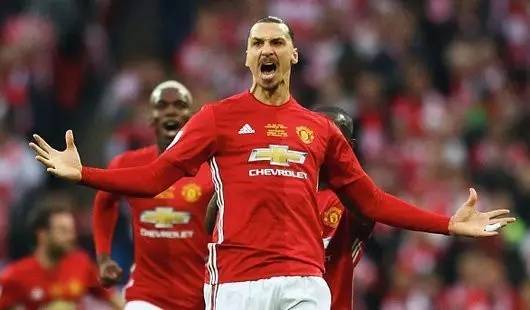 大的身体素 大的身体素